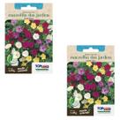 2X Sementes de Maravilha dos Jardins (Sortida) TOPSEED