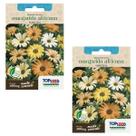 2X Sementes de Margarida Africana (Sortida) TOPSEED