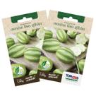 2X Sementes de Maxixe Liso Gibão TOPSEED