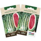 2X Sementes de Melancia Fairfax TOPSEED