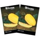 2X Sementes de Melão Gaúcho Comprido FELTRIN