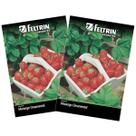 2X Sementes de Morango Ornamental Vermelho Ruge FELTRIN