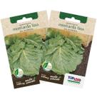 2X Sementes de Mostarda Lisa da Florida TOPSEED