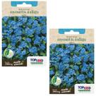 2X Sementes de Myosotis Índigo Azul TOPSEED