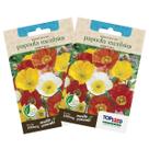 2X Sementes de Papoula Excelsior (Sortida) TOPSEED