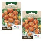 2x Sementes De Pimenta Habanero Orange Vasos Jardins Hortas