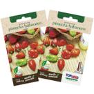 2X Sementes de Pimenta Habanero (Red) TOPSEED