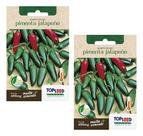 2x Sementes De Pimenta Jalapeno Mexicana Vigorosa Saborosa