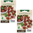 2X Sementes de Pimenta Jamaican Red TOPSEED