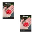 2X Sementes de Pimenta Moruga Red FELTRIN