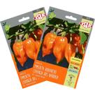 2X Sementes de Pimenta Nandaia (Habanero Laranja) Super ISLA