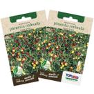 2X Sementes de Pimenta Redonda para Vaso TOPSEED