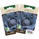 2X Sementes de Repolho Roxo TOPSEED