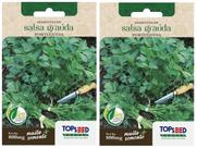 2X Sementes De Salsa Graúda (Portuguesa) TOPSEED 2X Sementes De Salsa Graúda (Portuguesa) TOPSEED