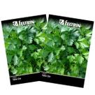 2X Sementes de Salsa Lisa FELTRIN