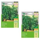 2X Sementes de Salsa Lisa Stella (2,80g) ISLA
