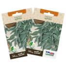 2X Sementes de Sálvia TOPSEED