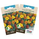 2X Sementes de Tagetes Anão Dobrada (Sortida) TOPSEED 2X Sementes de Tagetes Anão Dobrada (Sortida) TOPSEED