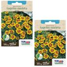 2X Sementes de Tagetes Marieta Anão Cravo Francês TOPSEED