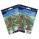 2X Sementes de Tomate Cereja Samambaia Blueline TOPSEED
