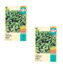2X Sementes Hortelã Menta Isla 2X Sementes Hortelã Menta Isla