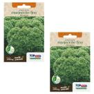 2X Sementes Manjericão Verde Fino Francês TOPSEED
