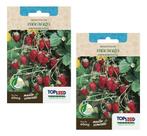 2x Sementes Morango Silvestre Ornamental Para Vasos E Mudas