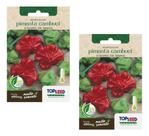2x Sementes Pimenta Chapéu De Bispo Cambucí Alta Germinação 2x Sementes Pimenta Chapéu De Bispo Cambucí Alta Germinação