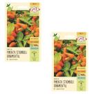 2X Sementes Pimenta Stromboli Ornamental ISLA