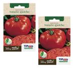 2x Sementes Tomate Gaúcho Maçã Gigante Verdadeiro Saboroso 2x Sementes Tomate Gaúcho Maçã Gigante Verdadeiro Saboroso