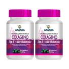 2x Suplemento Colágeno Tipo 2 c/ Ácido Hialurônico 60 Caps 500mg 2x Suplemento Colágeno Tipo 2 c/ Ácido Hialurônico 60 Caps 500mg