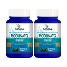2x Suplemento Picolinato de Cromo 60 Caps 500mg 2x Suplemento Picolinato de Cromo 60 Caps 500mg