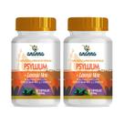 2x Suplemento Psyllium c/ Laranja Moro 60 Caps 500mg 2x Suplemento Psyllium c/ Laranja Moro 60 Caps 500mg