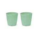 2X Vaso Aquarela 1,5 (0,25L) Verde NUTRIPLAN