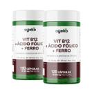 2x Vitamina B12 + Ácido Fólico + Ferro 120 Cápsulas - Ayeko