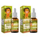 2x Zintrix Zinco em Gotas 20ml Sabor Morango Kids Flora Nativa