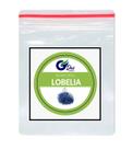 3.000 Sementes de Lobélia Azul Para Vasos e Jardim