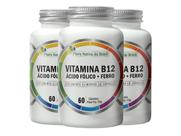 3 Ácido Fólico + Metilcobalamina B12 + Ferro 60 Caps 500mg 3 Ácido Fólico + Metilcobalamina B12 + Ferro 60 Caps 500mg
