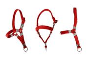 3 Cabrestos De Fita De Nylon Para Caprinos Ovinos E Bezerros