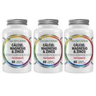 3 Cálcio + Magnésio + Zinco + Vitamina D3 60 Cápsulas Flora Nativa 3 Cálcio + Magnésio + Zinco + Vitamina D3 60 Cápsulas Flora Nativa