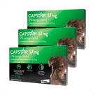 3 Capstar Antipulgas Mata Berne Cães Até 57kg Envio Imediato