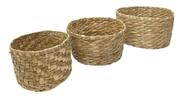 3 Cesto Vaso Plantas Taboa Trio Baixo Redondo Decoração