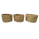 3 Cesto Vaso Plantas Taboa Trio Baixo Redondo Decoração