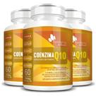 3 Coenzima + Vitamina B12 + Vitamina C + Niacina+ Vitamina B6 60 Cápsulas Flora Nativa