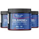 3 Colágeno Com Ácido Hialuronico Com Sabor 250g - Cabelo, Pele e unhas