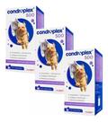 3 Condroplex 500 Avert 120 Cáp Suplemento Cães Gatos Cão
