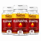 3 Elefantol 60 Cápsulas Vigor Que Impulsiona Imediato 3 Elefantol 60 Cápsulas Vigor Que Impulsiona Imediato