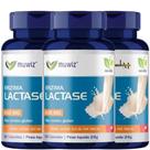 3 Enzima Lactase 180 Cápsulas 500mg Muwiz- Intolerância a Lactose