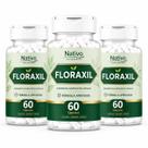 3 Floraxil 60 Cápsulas Equilíbrio Intestinal