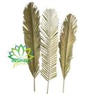 3 Folhas De Palmeira Grossa Trabalhada Alvejada Decoração 3 Folhas De Palmeira Grossa Trabalhada Alvejada Decoração